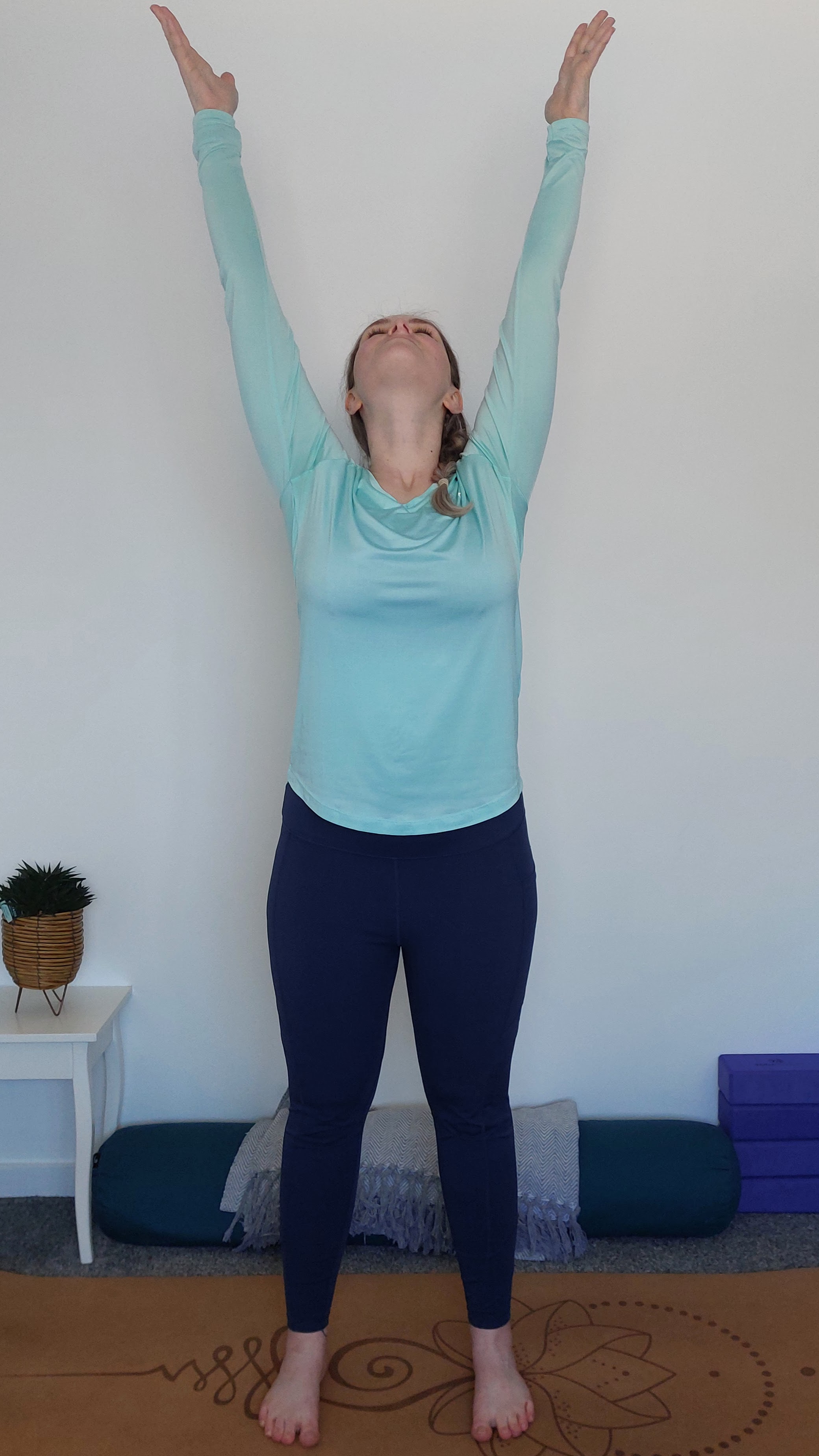 Upward Salute starting position